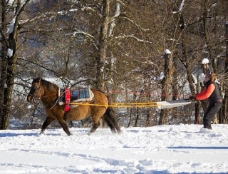  Trainato da un cavallo